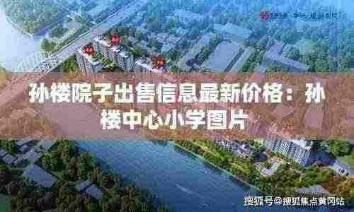 孙楼院子出售信息最新价格：孙楼中心小学图片 