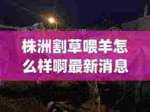 株洲割草喂羊怎么样啊最新消息：株洲最大的屠宰场在哪里 