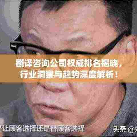翻译咨询公司权威排名揭晓，行业洞察与趋势深度解析！