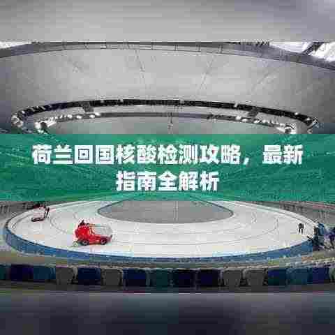 荷兰回国核酸检测攻略，最新指南全解析