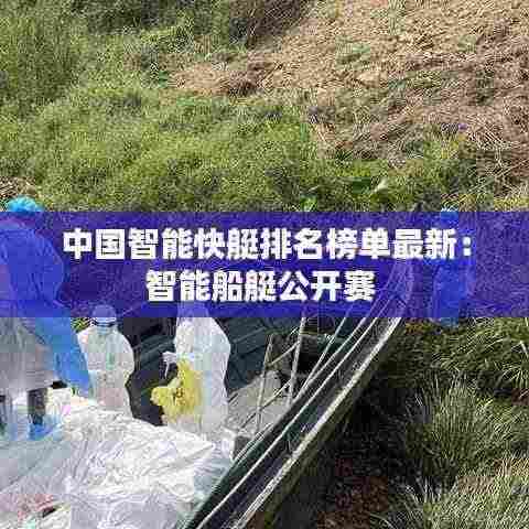 中国智能快艇排名榜单最新：智能船艇公开赛 