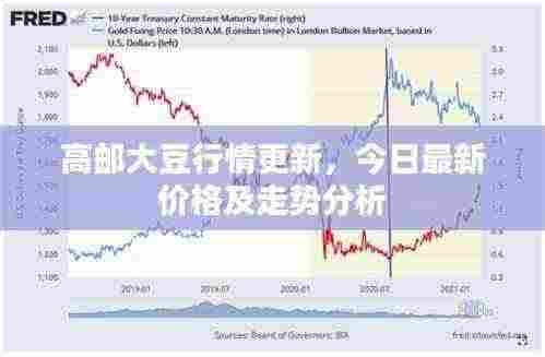 高邮大豆行情更新，今日最新价格及走势分析