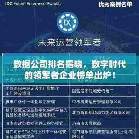 数据公司排名揭晓，数字时代的领军者企业榜单出炉！