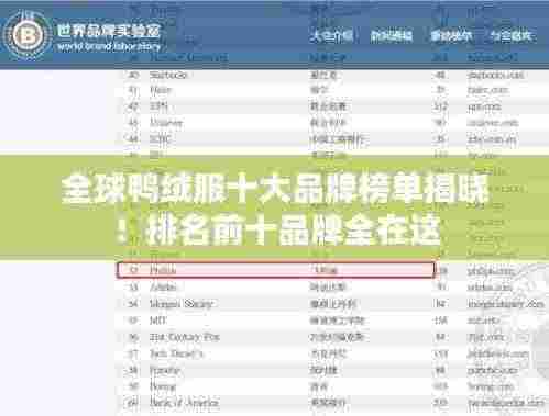 全球鸭绒服十大品牌榜单揭晓！排名前十品牌全在这
