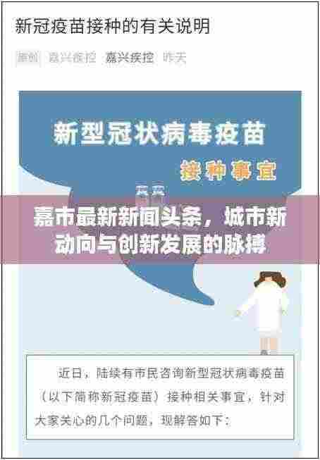嘉市最新新闻头条，城市新动向与创新发展的脉搏