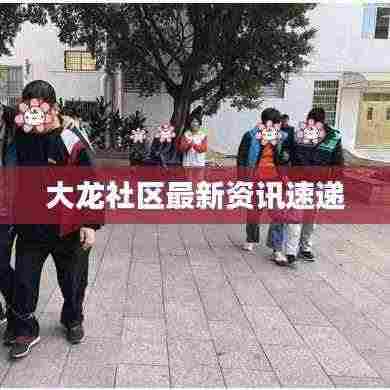 大龙社区最新资讯速递