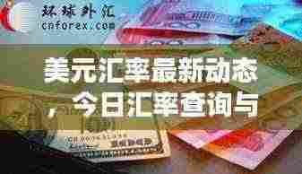 美元汇率最新动态，今日汇率查询与影响因素深度解析