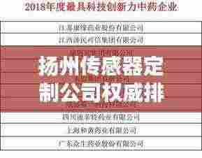 扬州传感器定制公司权威排名榜单揭晓！