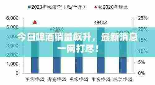 今日啤酒销量飙升，最新消息一网打尽！