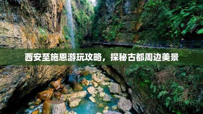 事必躬亲 第3页