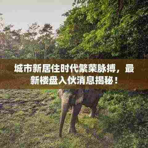 鸟啼花怨 第4页