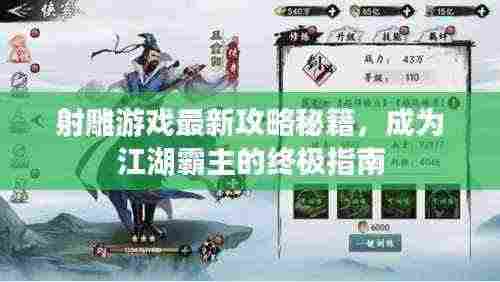 射雕游戏最新攻略秘籍，成为江湖霸主的终极指南