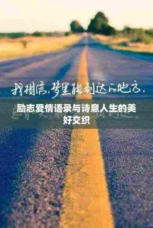 励志爱情语录与诗意人生的美好交织