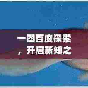 一图百度探索，开启新知之旅