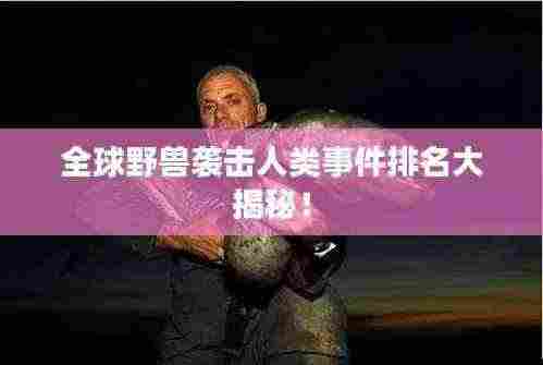 走马观花 第3页