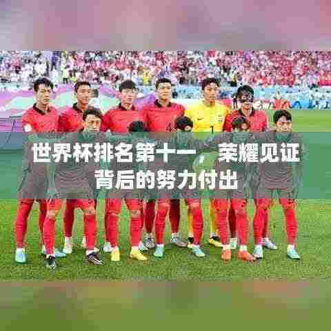 世界杯排名第十一，荣耀见证背后的努力付出