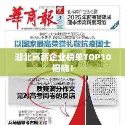 湖北高薪企业榜单TOP10揭晓！