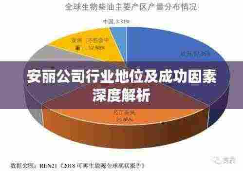 安丽公司行业地位及成功因素深度解析