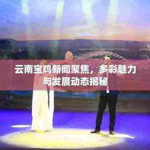 云南宝鸡新闻聚焦，多彩魅力与发展动态揭秘