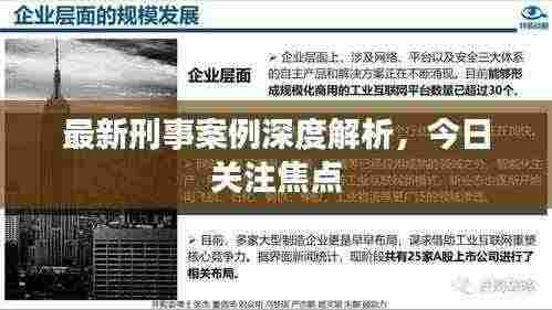 最新刑事案例深度解析，今日关注焦点