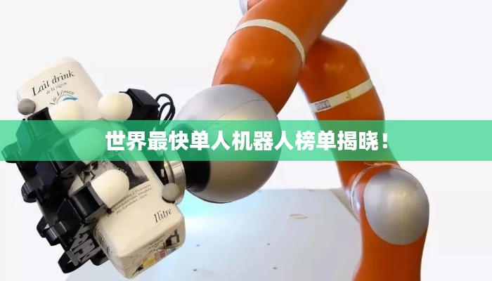 世界最快单人机器人榜单揭晓!
