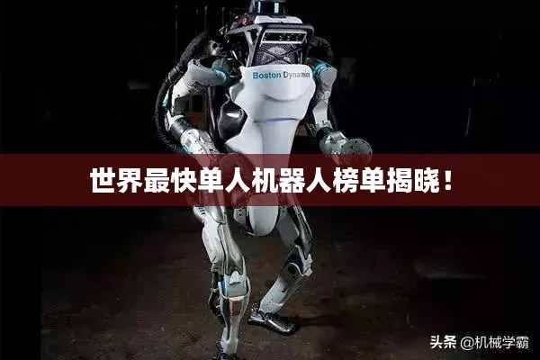 世界最快单人机器人榜单揭晓!