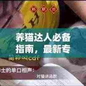 养猫达人必备指南，最新专家攻略大全