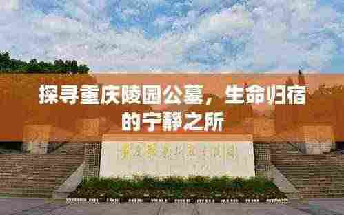 探寻重庆陵园公墓，生命归宿的宁静之所