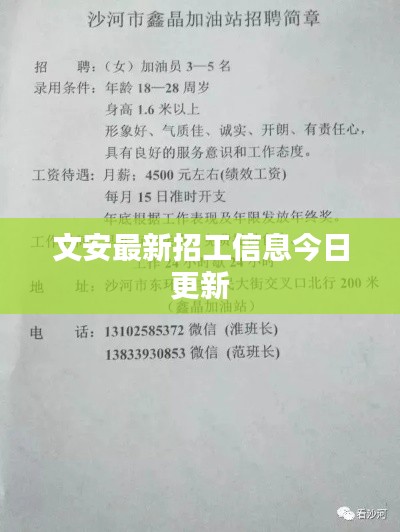 文安最新招工信息今日更新