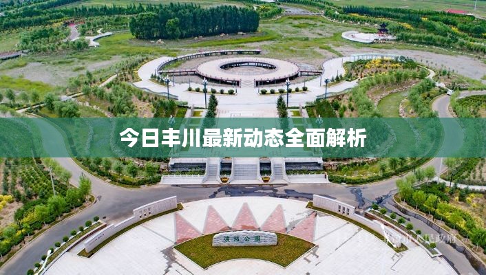 今日丰川最新动态全面解析