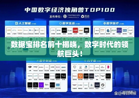 数据宝排名前十揭晓，数字时代的领航巨头！