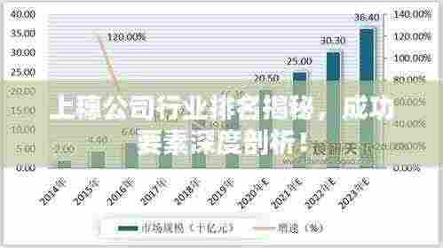 上穗公司行业排名揭秘，成功要素深度剖析！