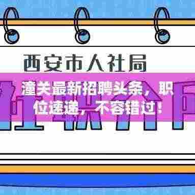 潼关最新招聘头条，职位速递，不容错过！