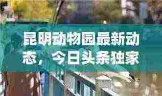 昆明动物园最新动态，今日头条独家报道
