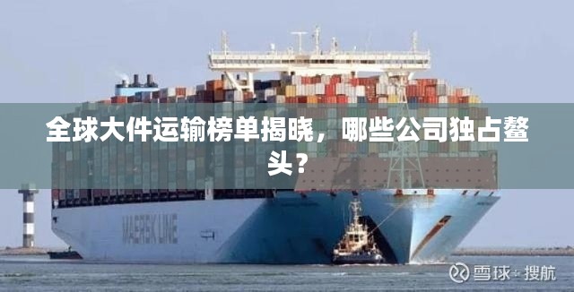 全球大件运输榜单揭晓,哪些公司独占鳌头?