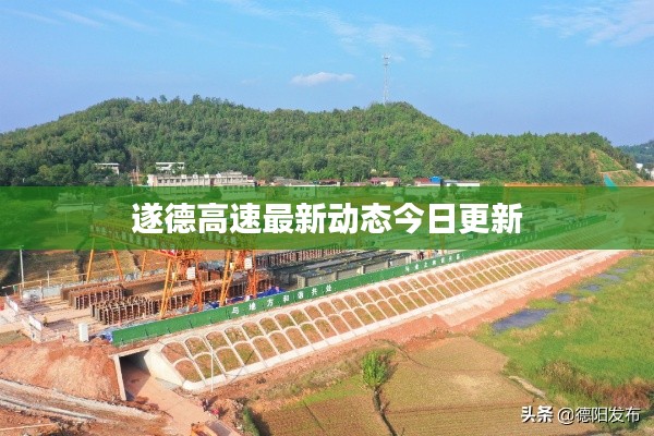 遂德高速最新动态今日更新