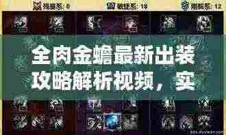 全肉金蟾最新出装攻略解析视频，实战技巧一网打尽