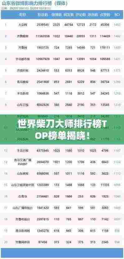 世界柴刀大师排行榜TOP榜单揭晓！