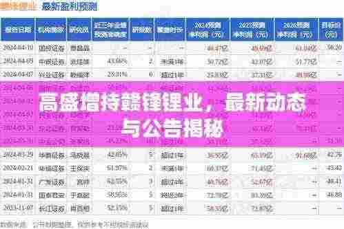 高盛增持赣锋锂业，最新动态与公告揭秘