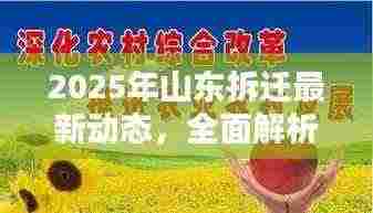 2025年山东拆迁最新动态，全面解析最新政策与补偿标准！
