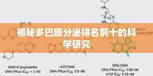 贵极人臣 第3页