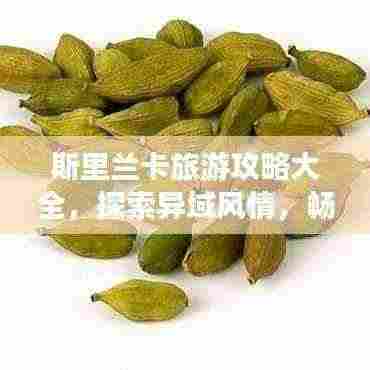 斯里兰卡旅游攻略大全，探索异域风情，畅游魅力国度！