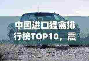 中国进口猛禽排行榜TOP10，震撼榜单，不容错过！