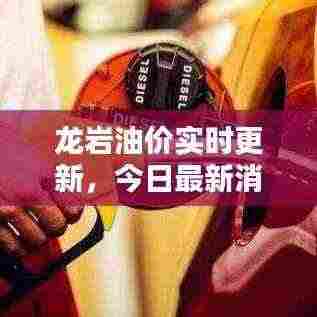 龙岩油价实时更新，今日最新消息一览表