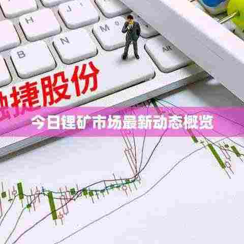 今日锂矿市场最新动态概览