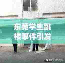 东莞学生跳楼事件引发社会震惊热议