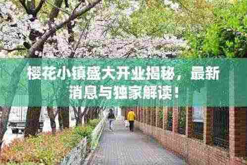 樱花小镇盛大开业揭秘，最新消息与独家解读！