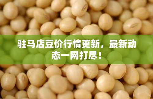 驻马店豆价行情更新，最新动态一网打尽！