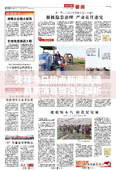 凭祥今日热点新闻速递，最新消息综述全解析