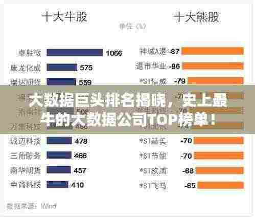 大数据巨头排名揭晓，史上最牛的大数据公司TOP榜单！